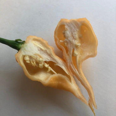 Peach Reaper (California Reaper) - Seeds - The Pepper Pantry (Formerly Marie Sharp's)